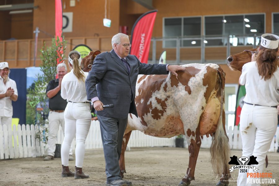 Show Reports :: The Bullvine - The Dairy Information You Want To