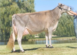 Grand Champion Forest Lawn Whistler Molly 2EX94