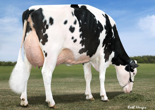 MS Atlees Shottle Aubry EX-92 (EX-93 MAM) Sister to Aftershock & Atwood