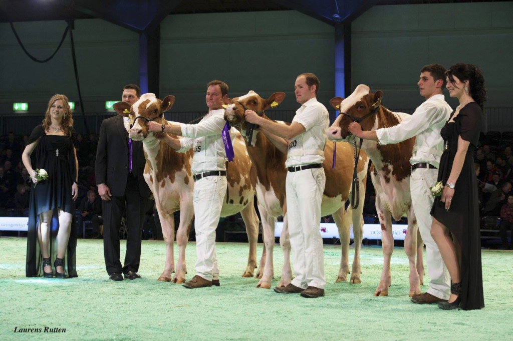 Junior Champion - Everdes Wisconsin Lybia, (Wisconsin), Everdes Holstein, Echarlens Reserve Junior Champion - La Weabera Rockstar Palma, (Rockstar), La Weabera, Le Mouret Honorable Mention - La Weabera Destry Tinette, (Destry), La Weabera & Hanni Andreas, Le Mouret