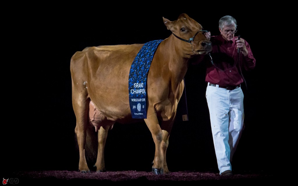 Sunny Acres TSB Silk All-American 4 year old Grand Champion World Dairy Expo Gregory W. B. Evans