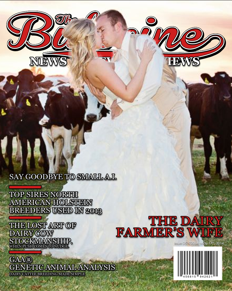 Bullvine Cover 05-17-2014