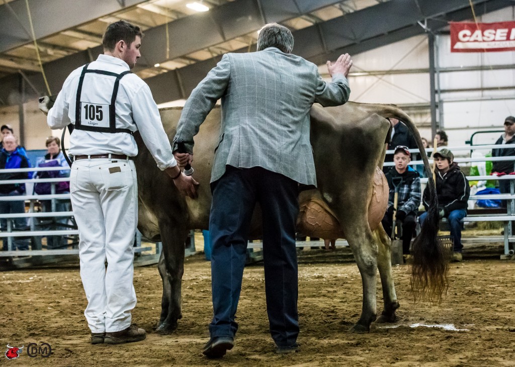 Oblong Valley G Jasmine now EX-94