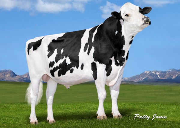 250HO1009 Mapel Wood BREWMASTER, the No. 1 GLPI sire in Canada, recently scored Excellent (95). 