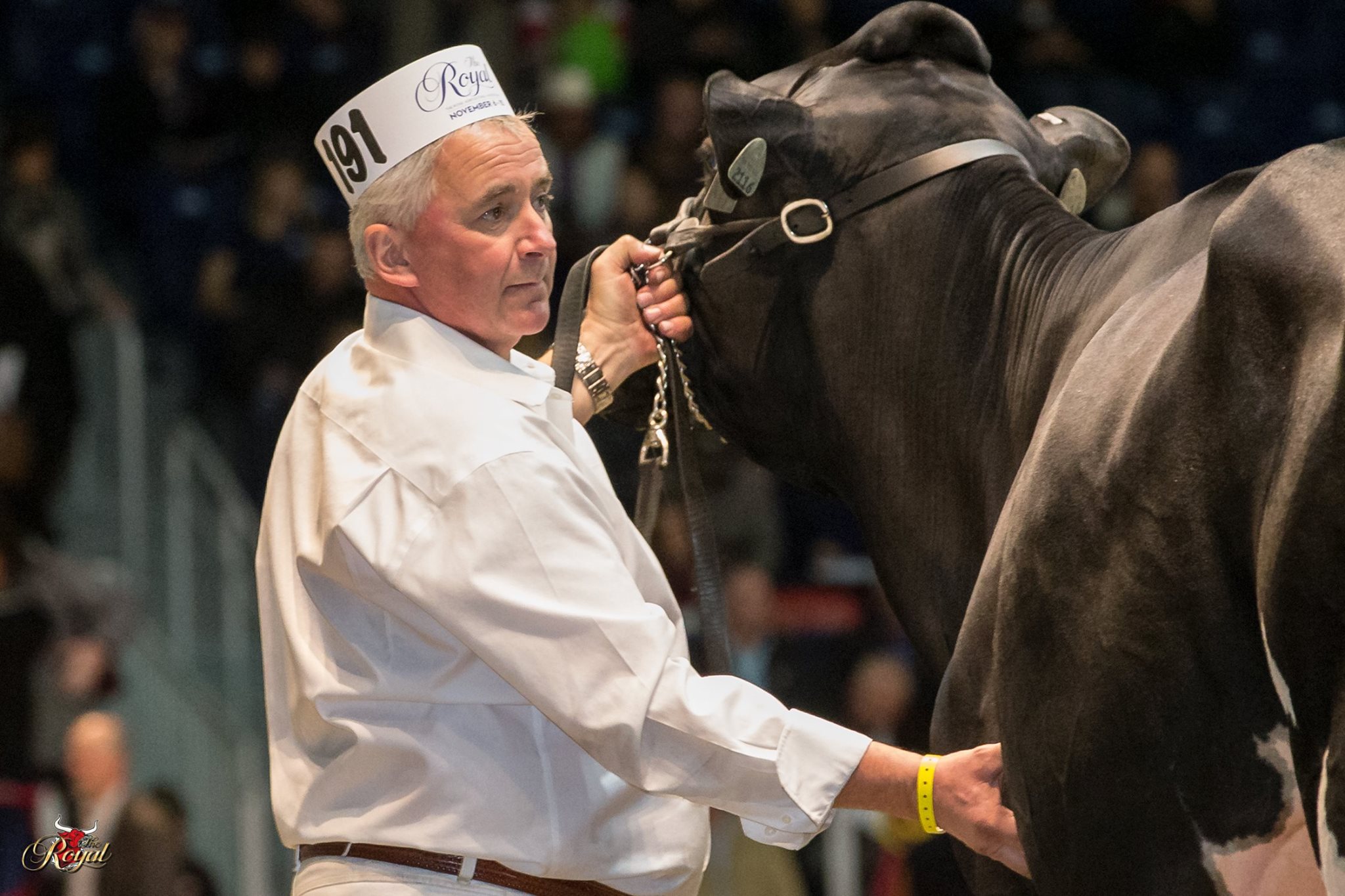 The judges for the National Holstein Show and National Red & White