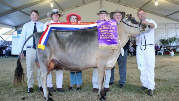 Supreme Champion Cow: Tony Burnett, Dairy Farmers, owners Jennifer, Trish and Pat McDonald, RNA Councillor Duncan McInnes and handler Todd Wilson. Picture: Andrea Crothers