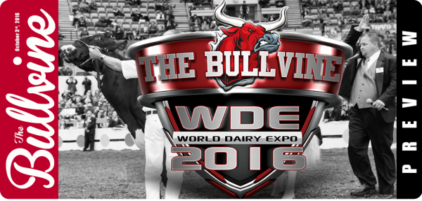 world dairy expo holstein show results