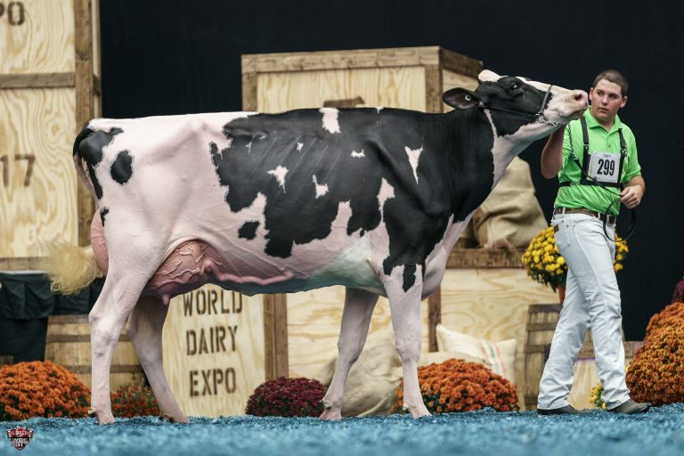 world dairy expo 20167 madison wis results