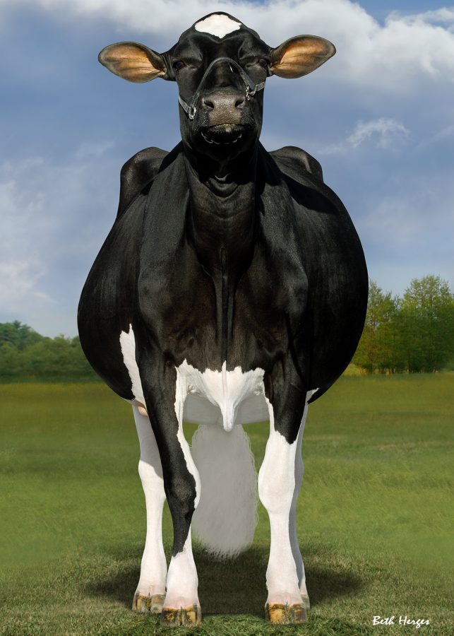 S-S-I Doc Have Not 8784 EX96-4E (EX96-MS) is the maternal granddam of a ...