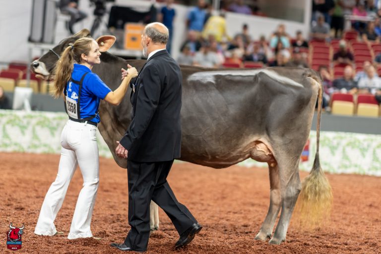 Blissful Day For Bailey At The International Jersey Show