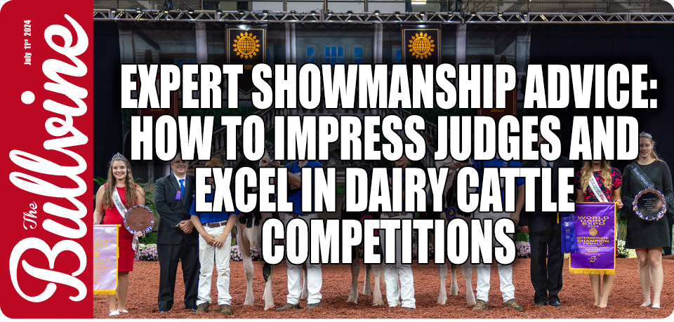 Expert Showmanship Advice: How to Impress Judges a…