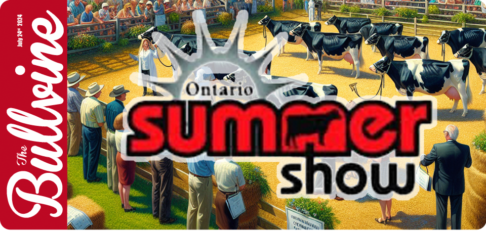 Ontario Summer Holstein Show 2024