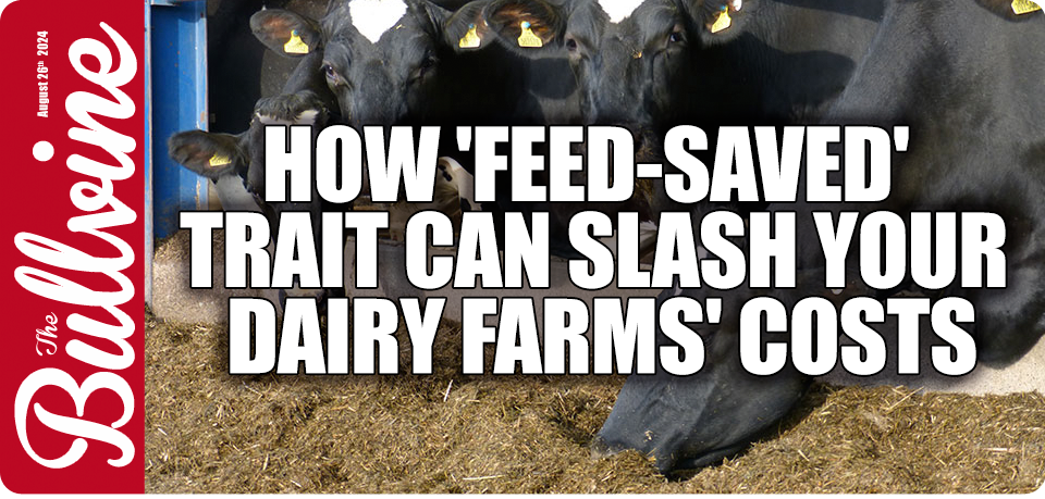 How ‘Feed-Saved’ Trait Can Slash Your Dairy Farms’…