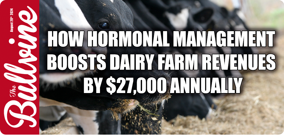 economic impact, cow-based reproductive management programs, systematic hormonal treatments, veterinary diagnoses, fertility checks, hormonal control, dairy producers, cows' reproductive health, productivity, PRIDsynch, Ovsynch, Double-Ovsynch regimens, ovulation, signs of being ready to reproduce, hormone injections, synchronization, insemination, estrus detection, Dutch dairy cows, anestrus, cystic ovarian disease, sub-estrus, FTAI, FTAI+ED, ED+TAI, Fixed-Time Artificial Insemination, net income increases, culling rates, milk production, calves production, profitability, unnecessary expenditures, revenues