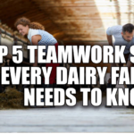 Discover the top 5 teamwork secrets every 50-year-old dairy farmer needs to know. Ready to boost your farm's productivity and harmony?