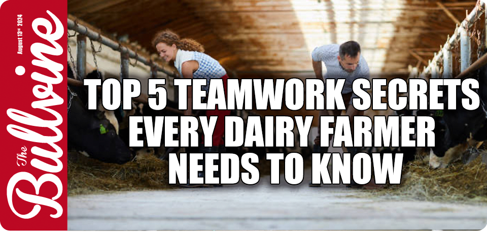 Discover the top 5 teamwork secrets every 50-year-old dairy farmer needs to know. Ready to boost your farm's productivity and harmony?