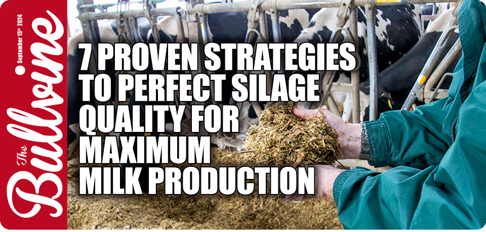 dairy silage management, optimal forage quality, milk production increase, silage fermentation techniques, dairy farm profitability, forage maturity assessment, mold prevention in silage, precision agriculture tools, nutritional value of silage, dairy cow health improvement