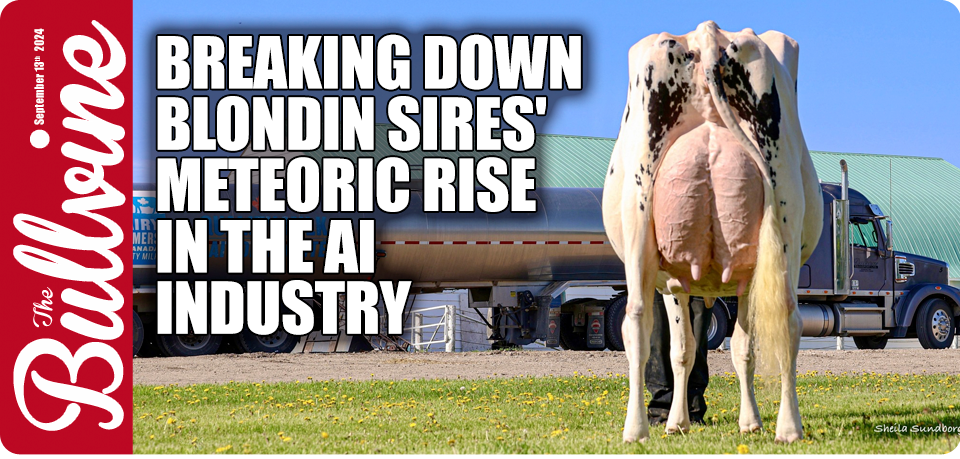 Breaking Down Blondin Sires’ Meteoric Rise in the…