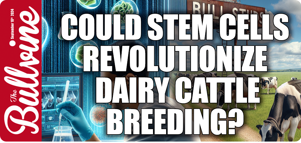 Could Stem Cells Revolutionize Dairy Cattle Breedi…