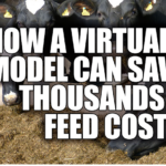 dairy farm sustainability, cropping strategies, feeding strategies, virtual farm model, crop rotation methods, manure injection, reduced herbicide, broadcast manure, standard herbicide, forages, corn grain, feed costs, profitability, cost of production, hundredweight, small farms, cost management, sustainable practices, virtual farm models, profitability and sustainability