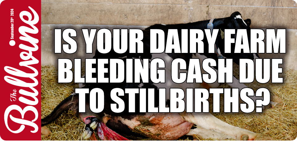 Is Your Dairy Farm Bleeding Cash Due to Stillbirth…