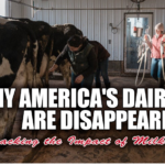 dairy sector crisis, family-owned farms decline, Federal Milk Marketing Orders, milk production technology, dairy farm competition, milk sales revenue, sustainable dairy farming, global trade impact, dairy consumption patterns, dairy industry reforms