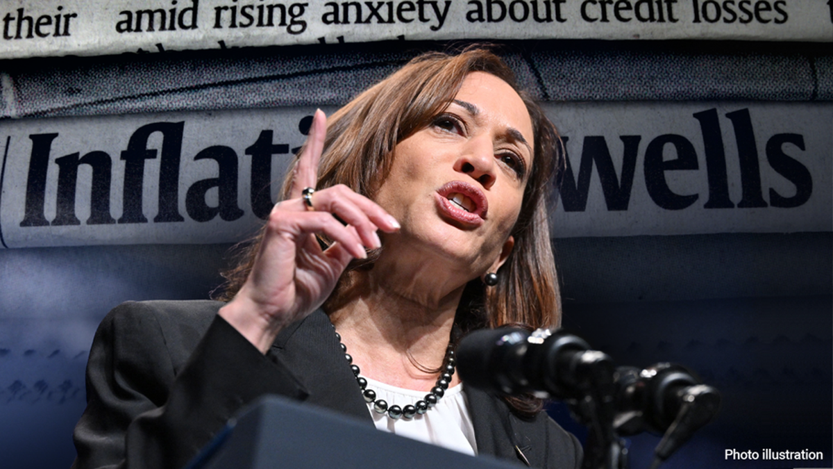 Kamala Harris, price gouging, food price inflation, Federal Trade Commission, consumer essentials, energy costs, interest rates, grocery store pricing, economic policy, regulatory capabilities