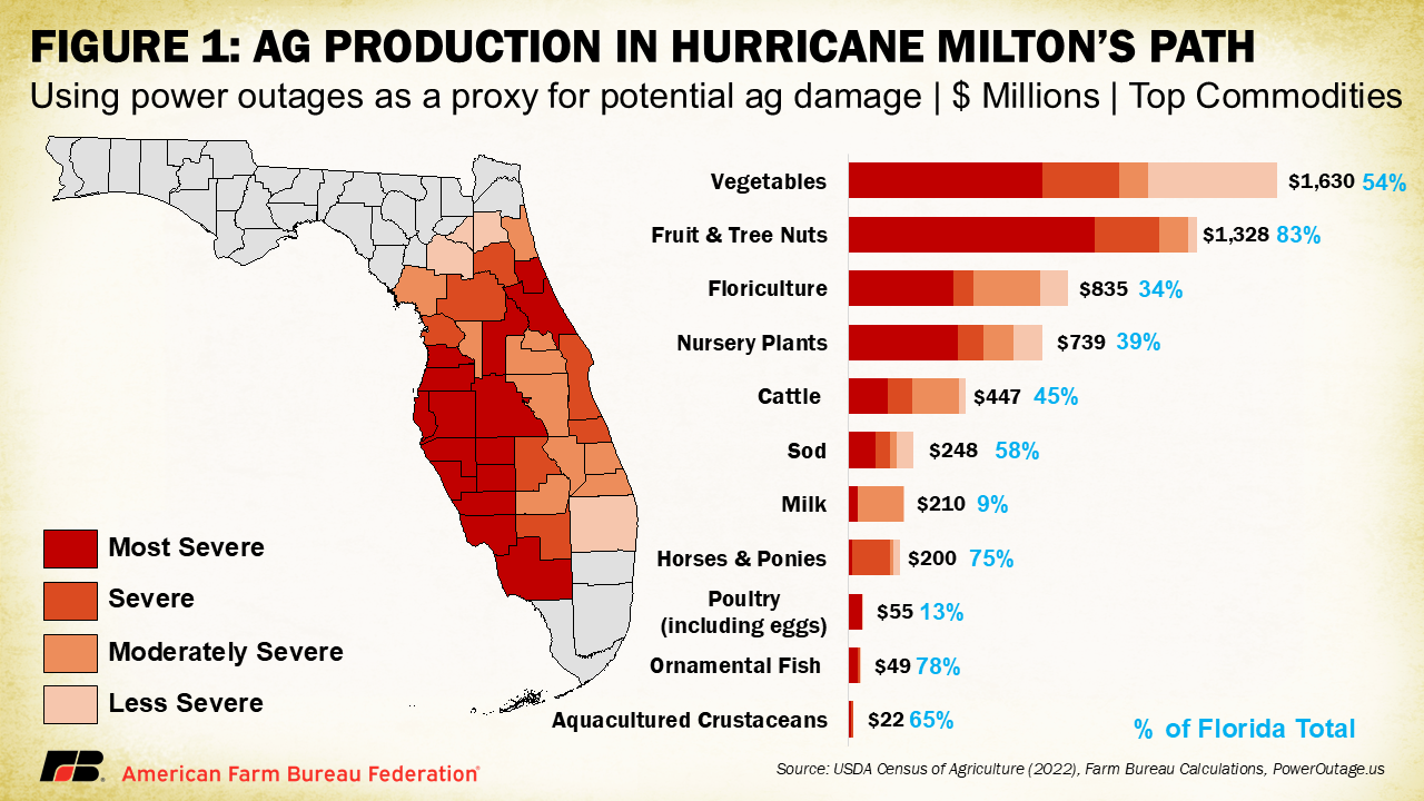 Hurricane Milton, Florida agriculture damage, crop yield loss, livestock impact, flooding effects, citrus industry decline, food safety regulations, vegetable market challenges, emergency services disruption, long-term resilience strategies.