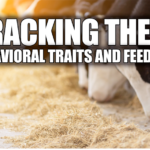 dairy farming, feed efficiency, Residual Feed Intake, wearable sensors, Holstein cows, genetic selection, rumination time, dry matter intake, heritability, herd productivity