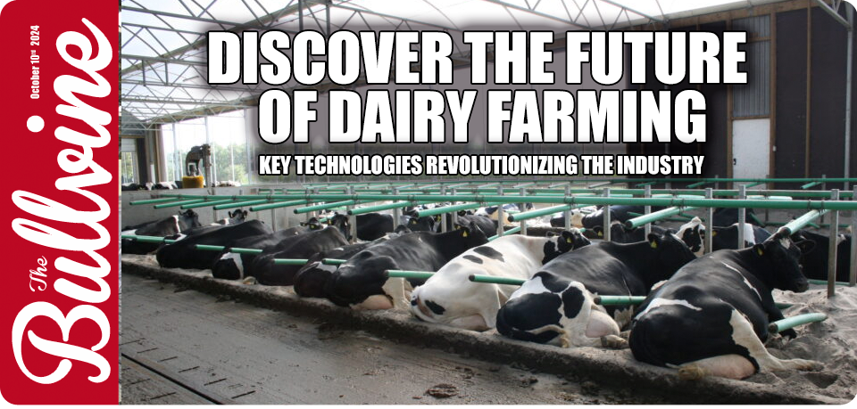 automation in dairy farming, robotics in agriculture, automated milking systems, precision feeding techniques, data-driven dairy farming, AI in livestock management, real-time data analysis in farming, sustainable dairy farming practices, herd health monitoring technology, renewable energy in agriculture