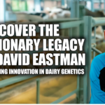 dairy genetics, Dave Eastman, genetic excellence, sexed semen, Cormdale Genetics, GenerVations, dairy breeding innovation, strategic partnerships, global dairy market, genetic gain