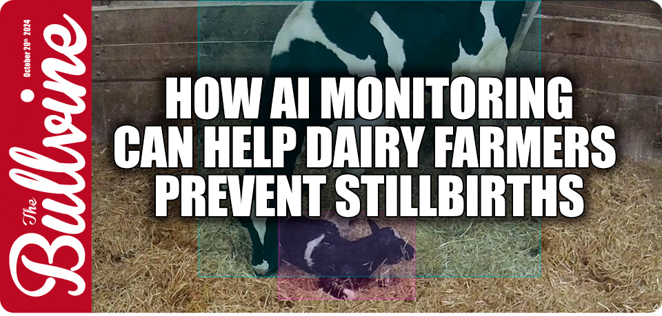 How AI Monitoring Can Help Dairy Farmers Prevent S…