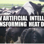 AI in dairy farming, heat detection technology, dairy management solutions, cow activity monitoring, breeding success rates, smart farming innovations, real-time alerts for cows, fertility control systems, agricultural technology grants, herd management systems