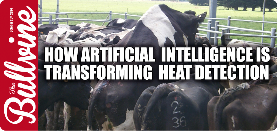 How Artificial Intelligence is Transforming Heat D…