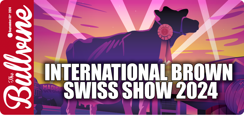 International Brown Swiss Show 2024