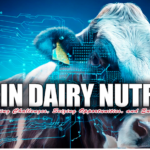 AI in dairy nutrition, dairy farming technology, automated milking systems, data-driven decision-making, predictive analytics in agriculture, IoT devices in farming, cow health monitoring, feed efficiency optimization, challenges in AI adoption, sustainable dairy practices