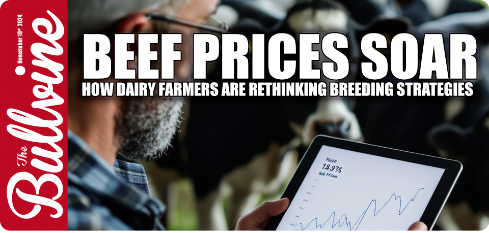 Beef Prices Soar: How Dairy Farmers Are Rethinking…