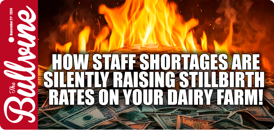 How Staff Shortages Are Silently Raising Stillbirt…