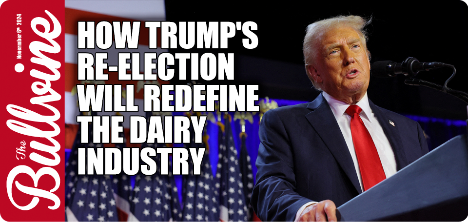 Donald Trump, 2024 election, US presidential election, dairy sector impact, Wisconsin dairy farmers, agricultural tax incentives, deregulation in agriculture, rural infrastructure development, dairy industry reforms, international trade dynamics