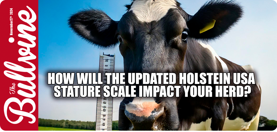 Holstein stature scale, dairy farming practices, genetic analysis Holsteins, herd health productivity, cattle marketability, Holstein Association USA, breeding decisions profitability, revised linear scale, genetic improvement programs, herd evaluation strategies