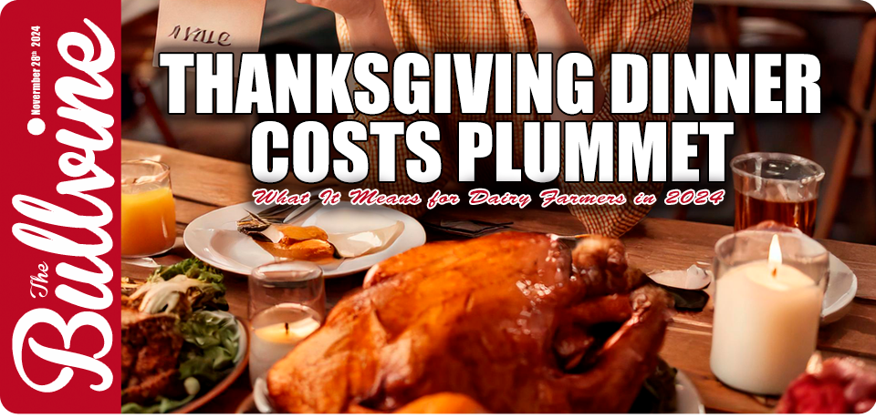 Thanksgiving dinner costs, dairy farmers, Thanksgiving dinner price drop, milk price reduction, whipping cream price increase, budget-conscious consumers, inflationary pressures, festive Thanksgiving offerings, Target Thanksgiving strategies, Aldi holiday spread.