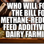 methane emissions, dairy farms, feed additives, Bovaer, Agolin, greenhouse gas emissions, carbon reduction targets, sustainable food, environmental policies, low-emission dairy products