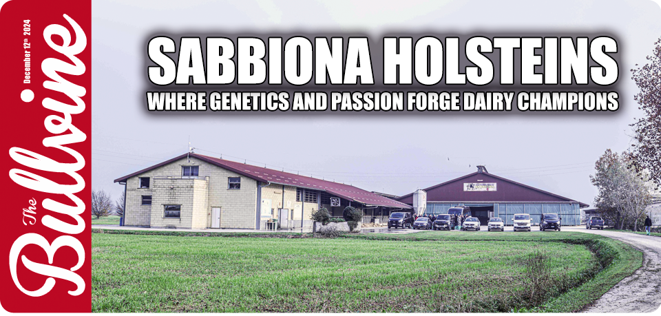 Sabbiona Holsteins: Where Genetics and Passion For…